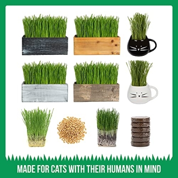 The Cat Ladies Organic Cat Grass Seed Non-GMO Great for Pets