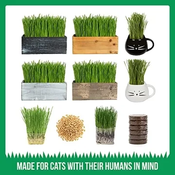 The Cat Ladies Organic Cat Grass Seed Non-GMO Great for Pets