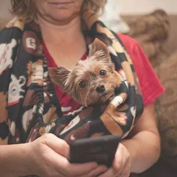 Critter Cuddler Small Animal Carrier for Fearless Bonding