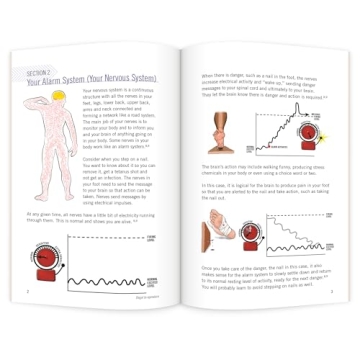 Neuroscience Education for Knee Replacement Patients
