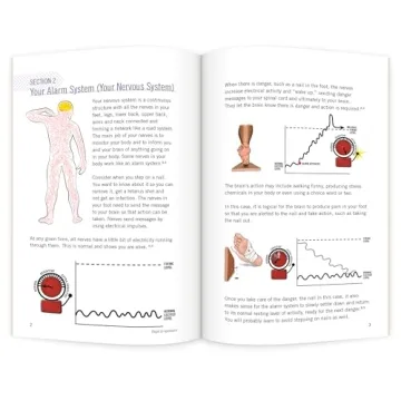 Neuroscience Education for Knee Replacement Patients