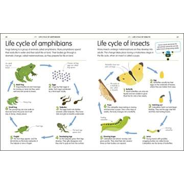Master Science, Technology & Engineering with DK Guide