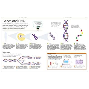Master Science, Technology & Engineering with DK Guide