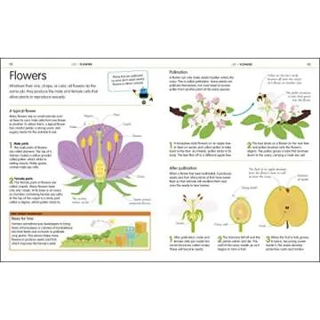 Master Science, Technology & Engineering with DK Guide