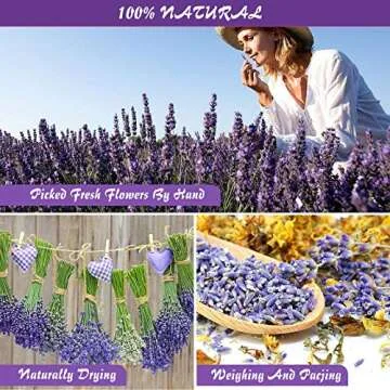 16 Natural Dried Flower Set for Crafting & Soap Making