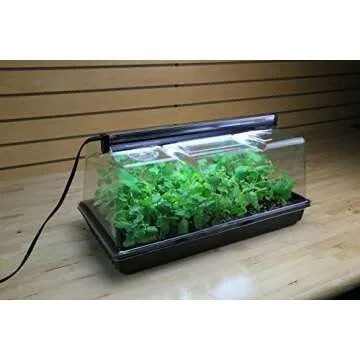 Super Sprouter Deluxe Propagation Kit for Seed Starting