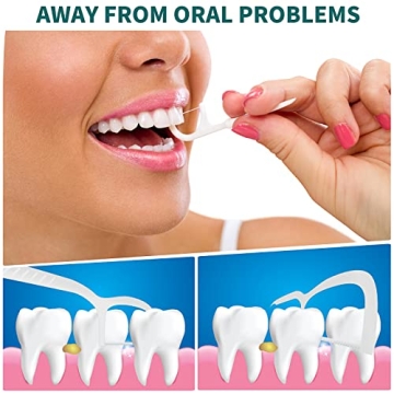 WLLHYF Portable Dental Floss Case with 10 Picks