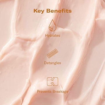 Dae Signature Duo Set Shampoo and Conditioner for All Hair Types