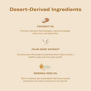 Dae Signature Duo Set Shampoo and Conditioner for All Hair Types