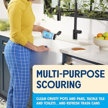 Aunt Fannie's Sink Refresher Lemon Powder for Sinks