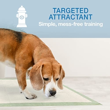 Eco-Friendly Wee-Wee Pads for Pet Training and Housebreaking