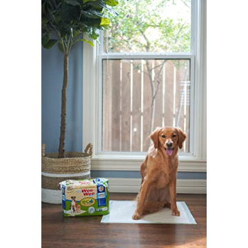 Eco-Friendly Wee-Wee Pads for Pet Training and Housebreaking