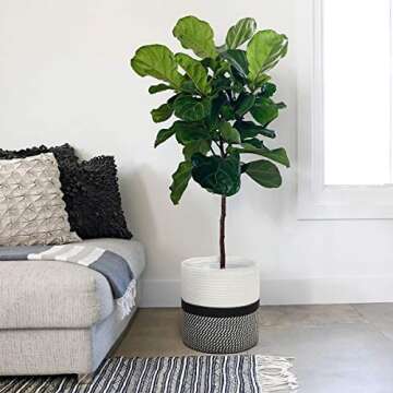 TIMEYARD Woven Cotton Rope Plant Basket for 10" Flower Pot Floor Indoor Planters, 11” x 11” Storage Basket Organizer Modern Home Decor, Black and White Mix Stripes