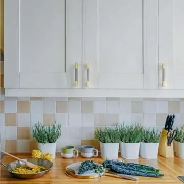 Asidrama 10 Pack Elegant Gold Cabinet Handles for Kitchen