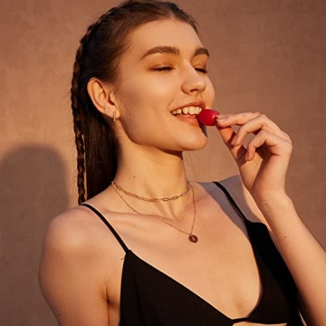 Valloey Rover Initial Necklace 14K Gold Plated Jewelry