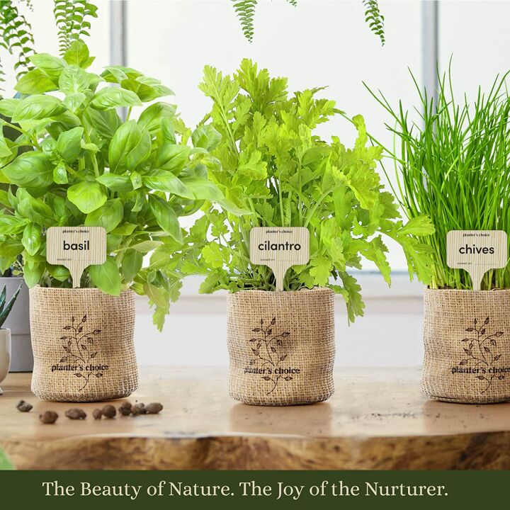 Indoor Herb Garden Starter Kit for Plant Lovers