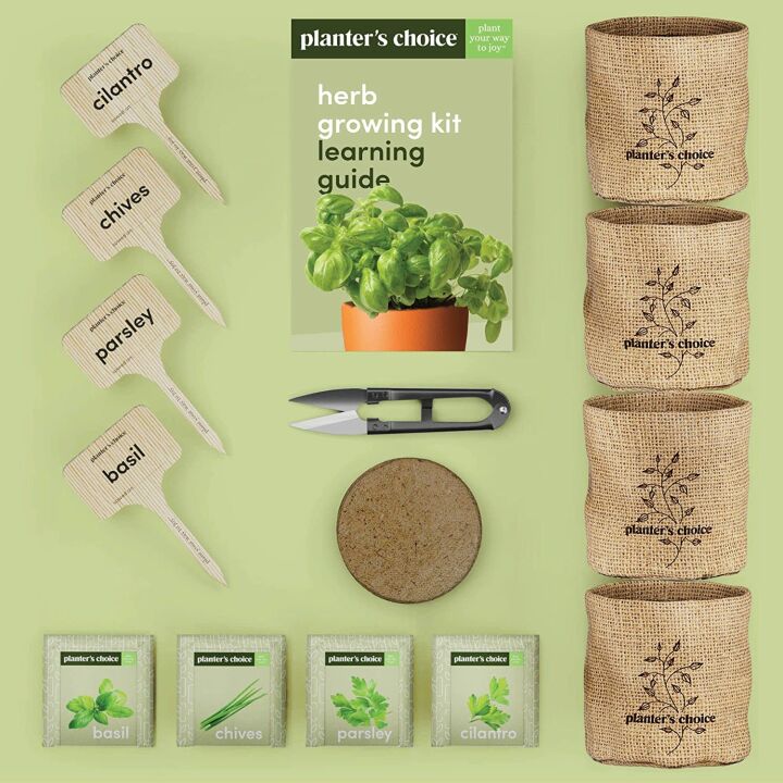 Indoor Herb Garden Starter Kit for Plant Lovers