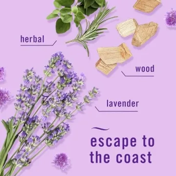 Febreze Plug-in Mediterranean Lavender Air Freshener