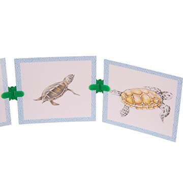 hand2mind Clip-itz Life Cycle Card Set