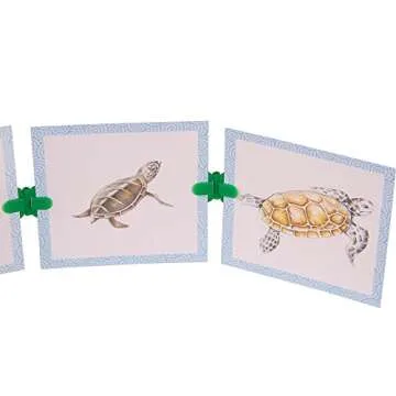 hand2mind Clip-itz Life Cycle Card Set