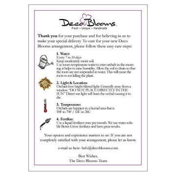 DecoBlooms Premium White Orchid Live Indoor Plant - 5 inch Blooms, Modern Pot Included, Gift Fresh Flowering Home Decor for Anniversary, Birthday, Congratulations, Get Well, Sympathy, Thank You