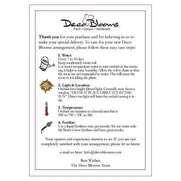 DecoBlooms Premium White Orchid Live Indoor Plant - 5 inch Blooms, Modern Pot Included, Gift Fresh Flowering Home Decor for Anniversary, Birthday, Congratulations, Get Well, Sympathy, Thank You