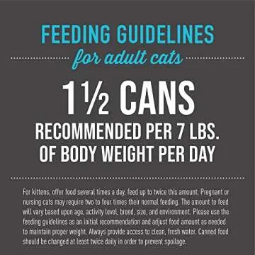 High-Protein Wet Cat Food Variety Pack for Adult Cats