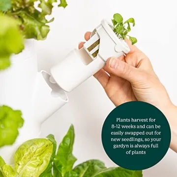Gardyn 3.0 Hydroponic Indoor Gardening System