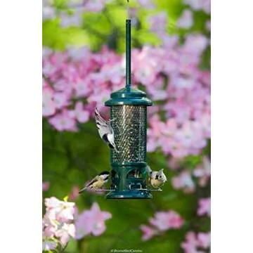 Squirrel Buster Standard Squirrel-proof Bird Feeder w/4 Metal Perches, 1.3-pound Seed Capacity, garden green