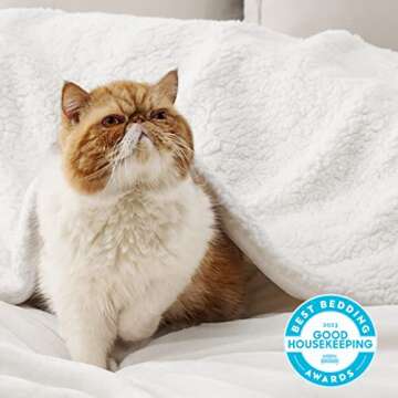 Bedsure Sherpa Fleece Blankets Queen Size for Bed - Thick and Warm, Soft Fuzzy Plush Queen Blanket for Winter, White, 90x90 Inches