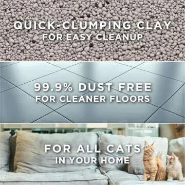 Purina Tidy Cats Clumping Cat Litter, Unscented 38 lb.