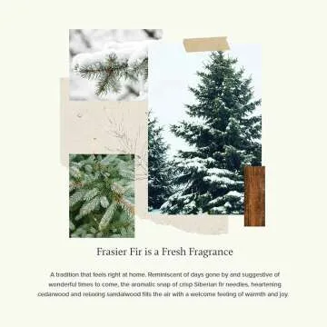 Thymes Frasier Fir Petite Pinecone Candle – Seasonal Fragrance