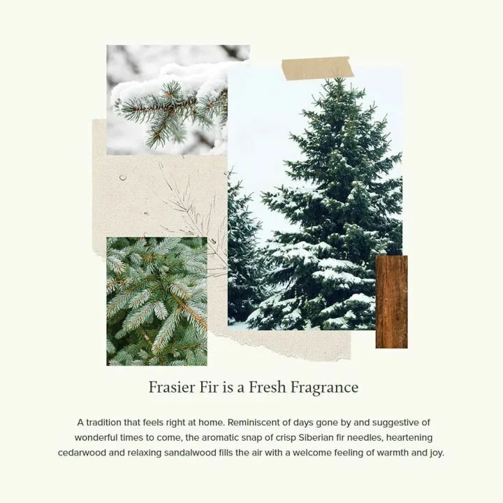 Thymes Frasier Fir Petite Pinecone Candle – Seasonal Fragrance