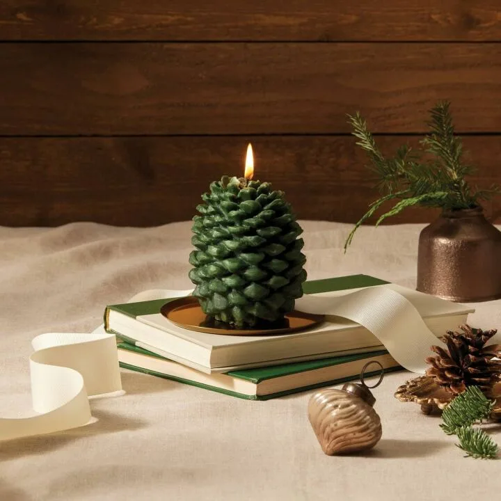 Thymes Frasier Fir Petite Pinecone Candle – Seasonal Fragrance