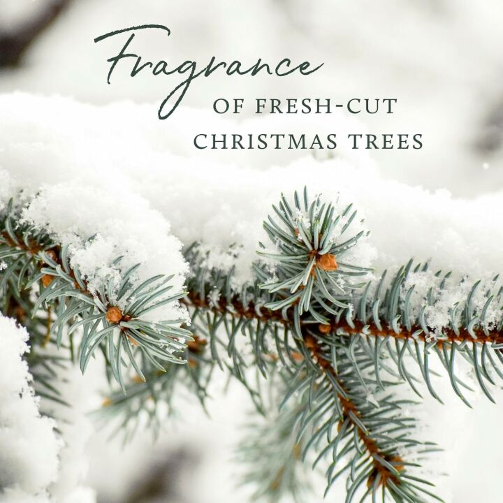 Thymes Frasier Fir Petite Pinecone Candle – Seasonal Fragrance
