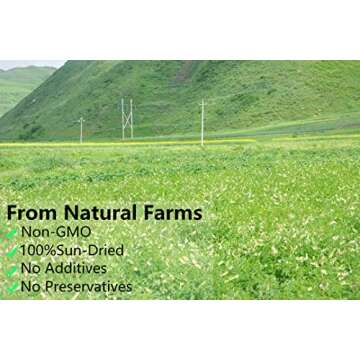 Premium Astragalus Root Tea Slices 12 Oz Natural Herbal Tea