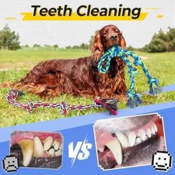 Eefitoys Heavy Duty Dog Rope Toys for Aggressive Chewers, Tough Tug of War Dog Toys for Large, Medium & Small Dogs – 5 Pack Including 2 Ropes & 3 Supplies