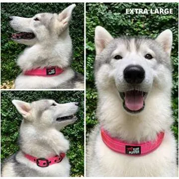 Tuff Pupper Padded Dog Collar with Reflective Stitching