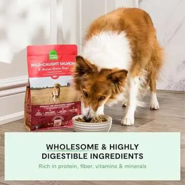 Open Farm Ancient Grains Dry Dog Food - Protein-Rich Nutrient Dense