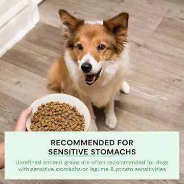 Open Farm Ancient Grains Dry Dog Food - Protein-Rich Nutrient Dense