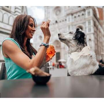 DOGWONG Cotton Dog Collar with Bow, White Pet Collar Wedding Dog Collar Durable Adjustable Dog Collar for Small Medium Large Dogs