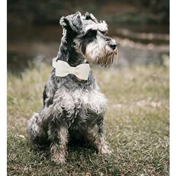 DOGWONG Cotton Dog Collar with Bow, White Pet Collar Wedding Dog Collar Durable Adjustable Dog Collar for Small Medium Large Dogs