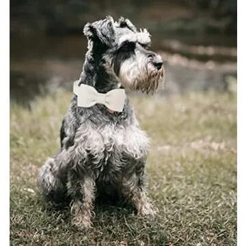 DOGWONG Cotton Dog Collar with Bow, White Pet Collar Wedding Dog Collar Durable Adjustable Dog Collar for Small Medium Large Dogs