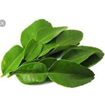 Fresh Kaffir Lime Leaves (2 Oz.) | Organic & Free Shipping from California