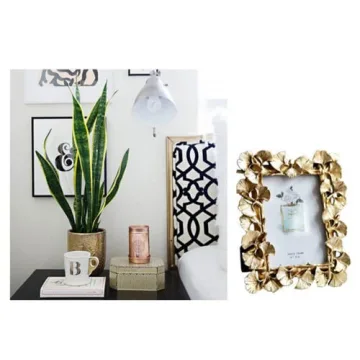 JOSON Vintage Ginkgo Leaf Photo Frame for Decor