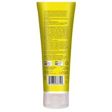 Desert Essence Lemon Tea Tree Shampoo & Conditioner Bundle - 8 Fl Ounce - Clarifying For Oily Hair - Essential Oils - Strengthen & Protect Hair - Effective Cleansing