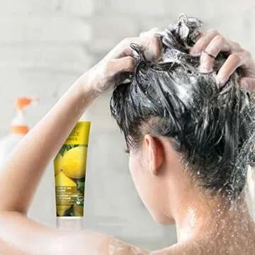 Desert Essence Lemon Tea Tree Shampoo & Conditioner Bundle - 8 Fl Ounce - Clarifying For Oily Hair - Essential Oils - Strengthen & Protect Hair - Effective Cleansing