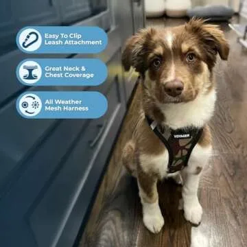 Voyager Step-in Air Dog Harness - All Weather Mesh, Reflective, No Pull Harness for Small, Medium Dogs, Cats - Secure with Hook & Loop Fastener, Buckle, Double D-Rings - Army/Black Trim, XL