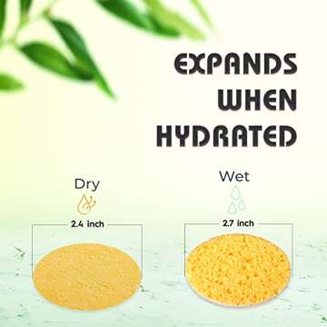Natural 60-Count Compressed Facial Sponges - Eco-Friendly Cleansing Pads