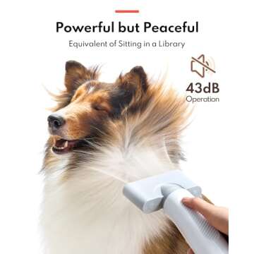 HomeRunPet Dog Dryer for Grooming, Ultra Quiet Dog Blow Dryer High-Velocity Dog Hair Dryer with 99 S...